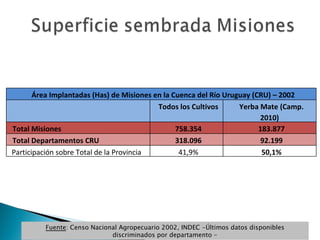 Fuente : Censo Nacional Agropecuario 2002, INDEC -Últimos datos disponibles discriminados por departamento - Área Implantadas (Has) de Misiones en la Cuenca del Río Uruguay (CRU) – 2002 Todos los Cultivos Yerba Mate (Camp. 2010) Total Misiones  758.354 183.877 Total Departamentos CRU 318.096 92.199 Participación sobre Total de la Provincia 41,9% 50,1% 
