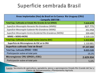 Fuente : Secretaría de agricultura, ganadería, pesca y agronegocios Estado Río Grande del Sur y Centro de Socioeconomía y Planeamiento Agrícola  Áreas Implantadas (Has) de Brasil en la Cuenca  Río Uruguay (CRU) - Campaña 2007/08 -  Total Sup. Cultivada en Estado Río Grande do Sul (ERGS) 7.610.670 Superficie Mesoregión Noroeste Río-Grandense (MNRG) 827.775 Superficie Mesoregión Sudoeste Río-Grandense (MSRG) 351.958 Superficie Mesoregión Centro Occidental Río-Grandense (MCRG) 339.400 MNRG + MSRG+MCRG 1.519.133 Total Sup. Cultivada en Estado Santa Catarina (ESC)  1.412.850 Superficie de Microregiones de ESC en la CRU 1.110.801 Superficie cultivada Total de Brasil 47.237.860 Total Sup. Cultivada  ERGS + ESC 9.023.520 Participación sobre el total país  19,1% Microregiones CRU (ERGS y ESC) 2.629.934 Participación sobre el total país  5,6% 