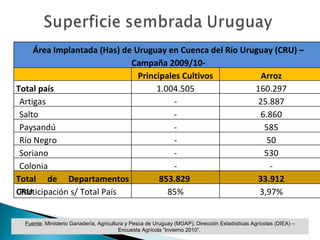 Fuente : Ministerio Ganadería, Agricultura y Pesca de Uruguay (MGAP), Dirección Estadísticas Agrícolas (DIEA) – Encuesta Agrícola “Invierno 2010”.  Área Implantada (Has) de Uruguay en Cuenca del Río Uruguay (CRU) – Campaña 2009/10- Principales Cultivos Arroz Total país 1.004.505 160.297 Artigas - 25.887 Salto - 6.860 Paysandú - 585 Río Negro - 50 Soriano - 530 Colonia - - Total de Departamentos CRU 853.829  33.912 Participación s/ Total País 85% 3,97% 