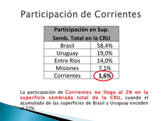 La participación de  Corrientes no llega al 2% en la superficie sembrada total de la CRU , cuando el acumulado de las superficies de Brasil y Uruguay exceden el 77%. Participación en Sup. Semb. Total en la CRU Brasil 58,4% Uruguay 19,0% Entre Ríos 14,0% Misiones 7,1% Corrientes 1,6% 