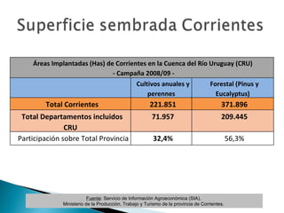 Fuente : Servicio de Información Agroeconómica (SIA),  Ministerio de la Producción, Trabajo y Turismo de la provincia de Corrientes.  Áreas Implantadas (Has) de Corrientes en la Cuenca del Río Uruguay (CRU)  - Campaña 2008/09 - Cultivos anuales y perennes Forestal (Pinus y Eucalyptus) Total Corrientes 221.851 371.896 Total Departamentos incluidos CRU 71.957 209.445 Participación sobre Total Provincia 32,4% 56,3% 