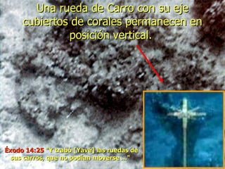 Una rueda de Carro con su eje cubiertos de corales permanecen en posición vertical.  Éxodo 14:25  "Y trabó [Yavé ] las ruedas de sus carros, que no podían moverse ..."  