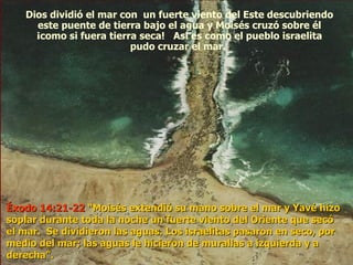 Dios dividió el mar con  un fuerte viento del Este descubriendo este puente de tierra bajo el agua y Moisés cruzó sobre él ¡como si fuera tierra seca!  Así es como el pueblo israelita pudo cruzar el mar.  Éxodo 14:21-22  “Moisés extendió su mano sobre el mar y Yavé hizo soplar durante toda la noche un fuerte viento del Oriente que secó el mar.  Se dividieron las aguas. Los israelitas pasaron en seco, por medio del mar; las aguas le hicieron de murallas a izquierda y a derecha”. 