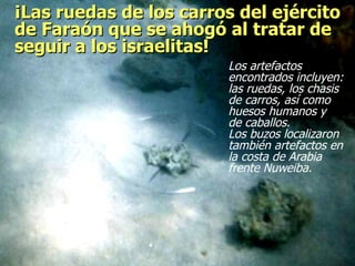 ¡Las ruedas de los carros del ejército de Faraón que se ahogó al tratar de seguir a los israelitas!  Los artefactos encontrados incluyen: las ruedas, los chasis de carros, así como huesos humanos y  de caballos.  Los buzos localizaron también artefactos en la costa de Arabia frente Nuweiba.  