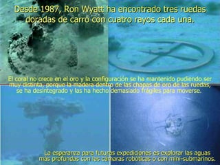 Desde 1987, Ron Wyatt ha encontrado tres ruedas doradas de carro con cuatro rayos cada una. El coral no crece en el oro y la configuración se ha mantenido pudiendo ser muy distinta, porque la madera dentro de las chapas de oro de las ruedas, se ha desintegrado y las ha hecho demasiado frágiles para moverse.  La esperanza para futuras expediciones es explorar las aguas más profundas con las cámaras robóticas o con mini-submarinos.   . 