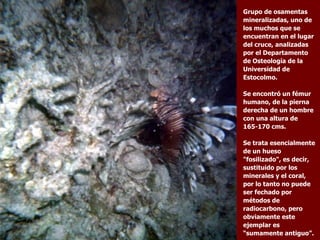 Grupo de osamentas mineralizadas, uno de los muchos que se encuentran en el lugar del cruce, analizadas por el Departamento de Osteología de la Universidad de Estocolmo. Se encontró un fémur humano, de la pierna derecha de un hombre con una altura de 165-170 cms.  Se trata esencialmente de un hueso "fosilizado", es decir, sustituido por los minerales y el coral, por lo tanto no puede ser fechado por métodos de radiocarbono, pero obviamente este ejemplar es “sumamente antiguo”.  