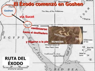El Éxodo comenzó en Goshen RUTA DEL ÉXODO vía Sucot y llegaron a la playa de Nuweiba Goshen continuaron vadeando hasta el desfiladero Nuweiba Desfiladero Playa NUWEIBA 