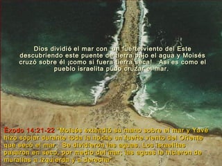Dios dividi ó el mar con un fuerte viento del Este
    descubriendo este puente de tierra bajo el agua y Moisés
    cruzó sobre él ¡como si fuera tierra seca! As í es como el
              pueblo israelita pudo cruzar el mar.




Éxodo 14:21-22 “Moisés extendió su mano sobre el mar y Yavé
hizo soplar durante toda la noche un fuerte viento del Oriente
que secó el mar. Se dividieron las aguas. Los israelitas
pasaron en seco, por medio del mar; las aguas le hicieron de
murallas a izquierda y a derecha”.
 