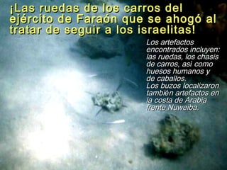 ¡Las ruedas de los carros del
ejército de Faraón que se ahogó al
tratar de seguir a los israelitas!
                      Los artefactos
                      encontrados incluyen:
                      las ruedas, los chasis
                      de carros, así como
                      huesos humanos y
                      de caballos.
                      Los buzos localizaron
                      también artefactos en
                      la costa de Arabia
                      frente Nuweiba.
 