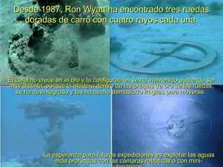 Desde 1987, Ron Wyatt ha encontrado tres ruedas
    doradas de carro con cuatro rayos cada una.




El coral no crece en el oro y la configuración se ha mantenido pudiendo ser
muy distinta, porque la madera dentro de las chapas de oro de las ruedas,
   se ha desintegrado y las ha hecho demasiado frágiles para moverse.




            La esperanza para futuras expediciones es explorar las aguas
                más profundas con las cámaras robóticas o con mini-
 