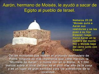 Aarón, hermano de Moisés, le ayudó a sacar de
          Egipto al pueblo de Israel.

                                                N úmeros 20:28
                                                “Mois és quit ó a
                                                Aar ón sus
                                                vestiduras y se las
                                                puso a su hijo
                                                Eleazar; luego
                                                muri ó Aar ón en la
                                                cumbre del monte
                                                Hor y Mois és baj ó
                                                del cerro junto con
                                                Eleazar. ”

   De las monta ñas que rodean el profundo desfiladero de
   Petra, ninguna es m ás imponente que Jabal Haroun, la
   “Monta ña de Aar ón ”, o monte Hor en la Biblia. A 1,350
 metros sobre el nivel del mar es el pico m ás alto de la zona
  y es un lugar de gran santidad para los pobladores de la
                           localidad.
 