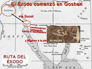 El Éxodo comenz ó en Goshen
Goshen

         v ía Sucot


                 c o n t in u a r o n
                 vadea o
           hasta el desfin dde
                            la ro Nuw eiba
                                      Des
                                        filade
                                              ro
                                                   Playa
                                   NUWEIBA
             y llegaron a la playa de Nuweiba




RUTA DEL
 ÉXODO
 