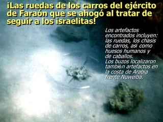 ¡Las ruedas de los carros del ejército
de Faraón que se ahogó al tratar de
seguir a los israelitas!
Los artefactos
encontrados incluyen:
las ruedas, los chasis
de carros, así como
huesos humanos y
de caballos.
Los buzos localizaron
también artefactos en
la costa de Arabia
frente Nuweiba.
 