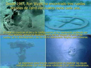Desde 1987, Ron Wyatt ha encontrado tres ruedas
doradas de carro con cuatro rayos cada una.
El coral no crece en el oro y la configuración se ha mantenido pudiendo ser
muy distinta, porque la madera dentro de las chapas de oro de las
ruedas, se ha desintegrado y las ha hecho demasiado frágiles para moverse.
La esperanza para futuras expediciones es explorar las aguas
más profundas con las cámaras robóticas o con mini-submarinos.
 