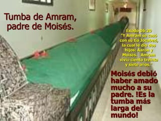Moisés debió
haber amado
mucho a su
padre. !Es la
tumba más
larga del
mundo!
Tumba de Amram,
padre de Moisés. Éxodo 06:20
"Y Amram se casó
con su tía Jocabed,
la cual le dio dos
hijos: Aarón y
Moisés. Amram
vivió ciento treinta
y siete años.”
 