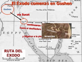 RUTA DEL
ÉXODO
El Éxodo comenzó en Goshen
vía Sucot
y llegaron a la playa de Nuweiba
Goshen
Playa
NUWEIBA
 