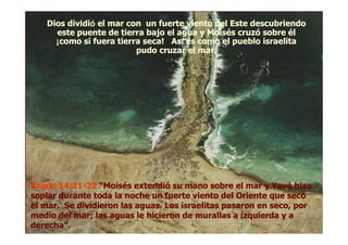 Dios dividiDios dividióó el mar con un fuerte viento del Este descubriendoel mar con un fuerte viento del Este descubriendo
este puente de tierra bajo el agua y Moisés cruzó sobre éleste puente de tierra bajo el agua y Moisés cruzó sobre él
¡¡como si fuera tierra seca! Ascomo si fuera tierra seca! Asíí es como el pueblo israelitaes como el pueblo israelita
pudo cruzar el mar.pudo cruzar el mar.
ÉxodoÉxodo 14:2114:21--2222 ““MoisésMoisés extendióextendió susu manomano sobresobre el mar yel mar y YavéYavé hizohizo
soplarsoplar durantedurante todatoda lala nochenoche unun fuertefuerte vientoviento deldel OrienteOriente queque secósecó
el mar. Seel mar. Se dividierondividieron laslas aguasaguas. Los. Los israelitasisraelitas pasaronpasaron enen secoseco,, porpor
mediomedio del mar;del mar; laslas aguasaguas lele hicieronhicieron dede murallasmurallas aa izquierdaizquierda y ay a
derechaderecha”.”.
 