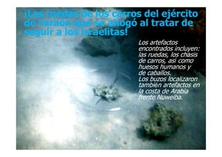 ¡Las ruedas de los carros del ejército¡Las ruedas de los carros del ejército
de Faraón que se ahogó al tratar dede Faraón que se ahogó al tratar de
seguir a los israelitas!seguir a los israelitas!
¡Las ruedas de los carros del ejército¡Las ruedas de los carros del ejército
de Faraón que se ahogó al tratar dede Faraón que se ahogó al tratar de
seguir a los israelitas!seguir a los israelitas!
Los artefactosLos artefactos
encontrados incluyen:encontrados incluyen:
las ruedas, los chasislas ruedas, los chasis
de carros, asde carros, asíí comocomo
huesos humanos yhuesos humanos y
de caballos.de caballos.
Los buzos localizaronLos buzos localizaronLos buzos localizaronLos buzos localizaron
tambitambiéén artefactos enn artefactos en
la costa de Arabiala costa de Arabia
frentefrente NuweibaNuweiba..
 