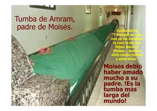 Tumba de Amram,Tumba de Amram,
padre de Moispadre de Moiséés.s. ÉÉxodo 06:20xodo 06:20
"Y Amram se cas"Y Amram se casóó
con su tcon su tíía Jocabed,a Jocabed,
la cual le dio dosla cual le dio dos
hijos: Aarhijos: Aaróón yn y
MoisMoiséés. Amrams. Amram
vivivivióó ciento treintaciento treinta
MoisMoiséés debis debióó
haber amadohaber amado
mucho a sumucho a su
padre. !Es lapadre. !Es la
tumba mtumba mááss
larga dellarga del
mundo!mundo!
vivivivióó ciento treintaciento treinta
y siete ay siete añños.os.””
 