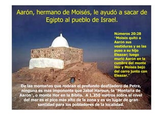 AarAaróón, hermano de Moisn, hermano de Moiséés, le ayuds, le ayudóó a sacar dea sacar de
Egipto al pueblo de Israel.Egipto al pueblo de Israel.
AarAaróón, hermano de Moisn, hermano de Moiséés, le ayuds, le ayudóó a sacar dea sacar de
Egipto al pueblo de Israel.Egipto al pueblo de Israel.
NNúúmeros 20:28meros 20:28
““MoisMoiséés quits quitóó aa
AarAaróón susn sus
vestiduras y se lasvestiduras y se las
puso a su hijopuso a su hijo
Eleazar; luegoEleazar; luego
murimurióó AarAaróón en lan en la
De las montaDe las montaññas que rodean el profundo desfiladero de Petra,as que rodean el profundo desfiladero de Petra,
ninguna es mninguna es máás imponente que Jabal Haroun, las imponente que Jabal Haroun, la ““MontaMontañña dea de
AarAaróónn””, o monte Hor en la Biblia. A 1,350 metros sobre el nivel, o monte Hor en la Biblia. A 1,350 metros sobre el nivel
del mar es el pico mdel mar es el pico máás alto de la zona y es un lugar de grans alto de la zona y es un lugar de gran
santidad para los pobladores de la localidad.santidad para los pobladores de la localidad.
murimurióó AarAaróón en lan en la
cumbre del montecumbre del monte
Hor y MoisHor y Moiséés bajs bajóó
del cerro junto condel cerro junto con
Eleazar.Eleazar.””
 