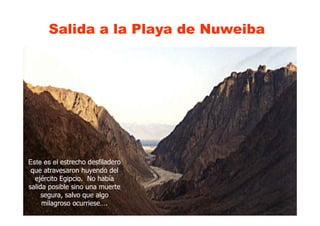 Salida a la Playa de Nuweiba
Este es elEste es el estrecho desfiladeroestrecho desfiladero
que atravesaron huyendo delque atravesaron huyendo del
ejército Egipcio. No habíaejército Egipcio. No había
salida posible sino una muertesalida posible sino una muerte
segura, salvo que algosegura, salvo que algo
milagroso ocurriese….milagroso ocurriese….
 
