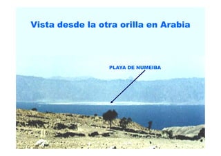 VistaVista desdedesde lala otraotra orillaorilla en Arabiaen Arabia
PLAYA DE NUMEIBA
 