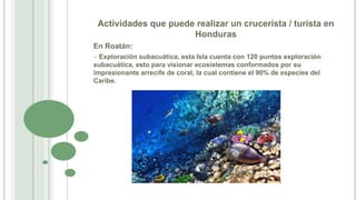 Actividades que puede realizar un crucerista / turista en
Honduras
En Roatán:
 Exploración subacuática, esta Isla cuenta con 120 puntos exploración
subacuática, esto para visionar ecosistemas conformados por su
impresionante arrecife de coral, la cual contiene el 90% de especies del
Caribe.
 