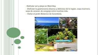 Disfrutar sol y playa en West Bay.
 Disfrutar la gastronomía diversa y deliciosa de la región, sopa marinera,
sopa de caracol, de cangrejo entre muchos más.
 Visitar el jardín Botánico de Carambola.
 
