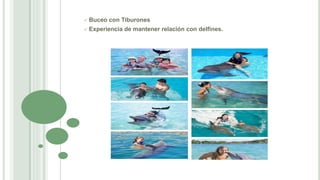  Buceo con Tiburones
 Experiencia de mantener relación con delfines.
 