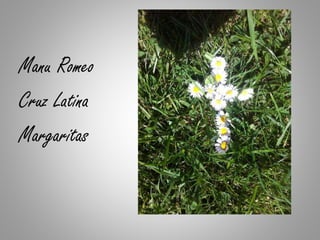 Manu Romeo
Cruz Latina
Margaritas
 