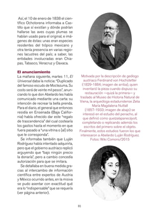 81
Así, el 10 de enero de 1838 el cien-
tífico Ochotorena informaba a Cas-
tillo que sí existían y dónde podrían
hallarse las aves cuyas plumas se
habían usado para el original, e imá-
genes de éstas: unas eran especies
residentes del trópico mexicano y
otra tenía presencia en varias regio-
nes lacustres del país; a saber, las
entidades involucradas eran Chia-
pas, Tabasco, Veracruz y Oaxaca.
El anunciamiento
La mañana siguiente, martes 11, El
Universal daba la noticia: “Duplicado
del famoso escudo de Moctezuma. Su
costo será de veinte mil pesos”, anun-
ciando lo que don Abelardo les había
comunicado mediante una carta: su
intención de recrear la bella prenda.
Para el diario, el general que entonces
residía en Ensenada (Baja Califor-
nia) había ofrecido dar este “regalo
de trascendencia” del cual costearía
los gastos hasta el momento en que
fuera pasado a “una vitrina o [al] sitio
que le corresponda”.
Se informaba también que Luján
Rodríguez había intentado adquirirla,
pero que el gobierno austriaco replicó
arguyendo que “bajo ningún precio
la donaría”, pero a cambio concedía
autorización para que se imitara.
Se detallaba en buena medida gra-
cias al intercambio de información
científica entre expertos de Austria
y México ocurrido antes, en la misiva
se pudo asentar con exactitud qué
era lo “indispensable” que se requería
(ver página anterior).
Motivada por la descripción de geólogo
austriaco Ferdinand von Hochstetter
(1829-1884; imagen de arriba), quien
inventarió la pieza cuando dispuso su
restauración —quizá la primera— y
traslado al Museo de Historia Natural de
Viena, la arqueóloga estadunidense Zelia
María Magdalena Nuttall
(1857-1933; imagen de abajo) se
interesó en el estudio del penacho, al
que definió como quetzalapanecáyolt,
completando o replicando además los
escritos del primero sobre el objeto.
Finalmente, estos estudios fueron los que
interesaron a Abelardo Luján Rodríguez.
Fotos: Wiki Comons/2015
 