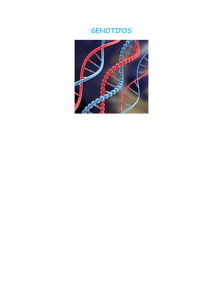 GENOTIPOS
 