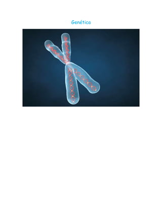 Genética
 