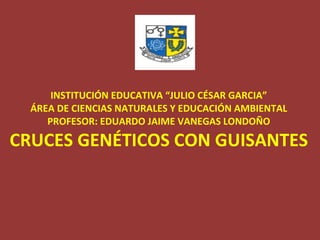 INSTITUCIÓN EDUCATIVA “JULIO CÉSAR GARCIA”
  ÁREA DE CIENCIAS NATURALES Y EDUCACIÓN AMBIENTAL
     PROFESOR: EDUARDO JAIME VANEGAS LONDOÑO

CRUCES GENÉTICOS CON GUISANTES



                                                     1
 