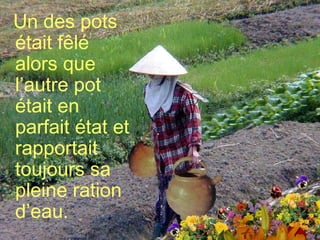 Un des pots était fêlé alors que l’autre pot était en parfait état et rapportait toujours sa pleine ration d’eau. 