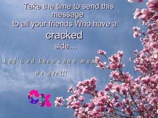 Take the time to send this message  to all your friends Who have a  cracked  side… And God knows how many  we are!!!   