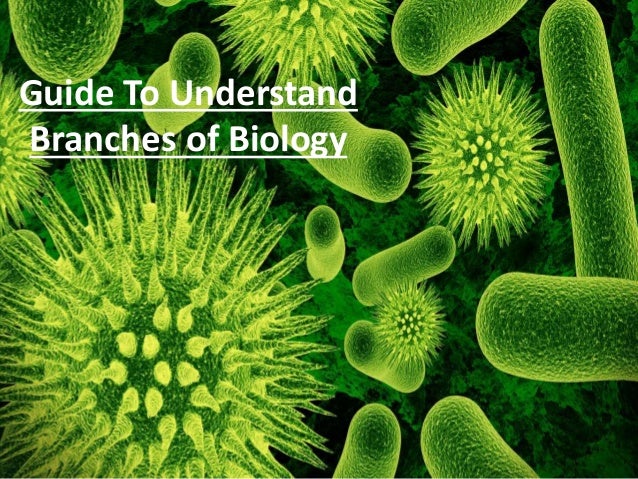 Guide To Understand
Branches of Biology
 