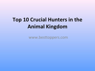 Top 10 Crucial Hunters in the
Animal Kingdom
www.besttoppers.com
 