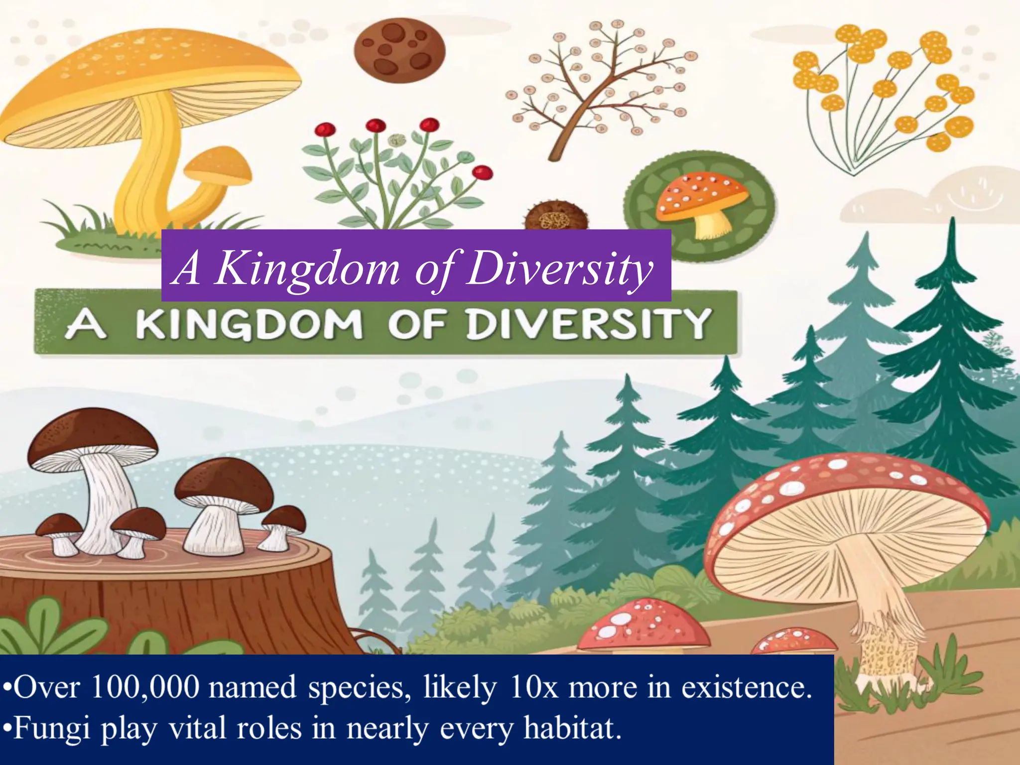 Avoid Deadly Mistakes: A Crucial Pdf On Pnw Psychoactive Fungi - ef2jw2b