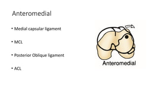 Cruciate ligament injuries OF KNEE (ACL AND PCL) | PPTX
