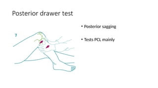 Cruciate ligament injuries of knee joint | PPTX
