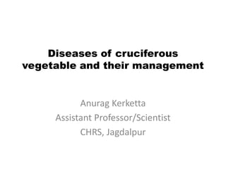 Diseases of cruciferous
vegetable and their management
Anurag Kerketta
Assistant Professor/Scientist
CHRS, Jagdalpur
 