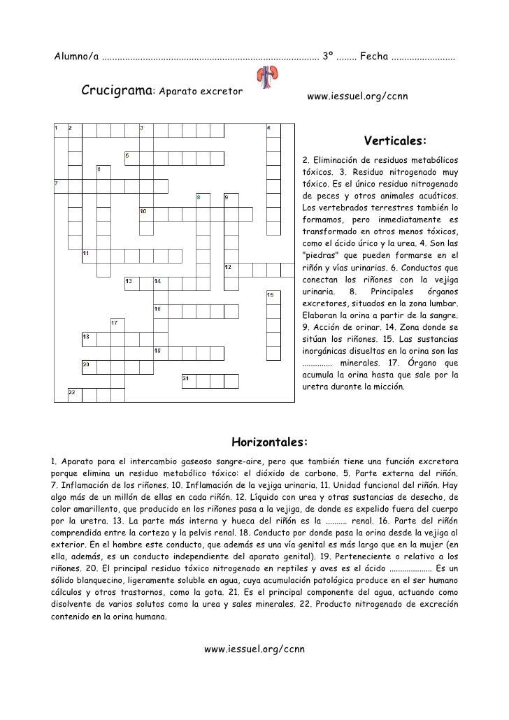 preguntas biblicas para jovenes falso o verdadero crucigrama del sistema excretor preguntas biblicas para jovenes falso o verdadero crucigrama del sistema excretor