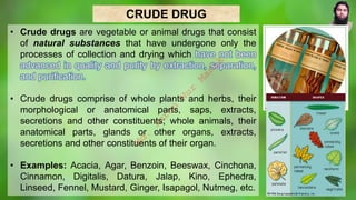 CRUDE DRUG
• Crude drugs are vegetable or animal drugs that consist
of natural substances that have undergone only the
processes of collection and drying which
• Crude drugs comprise of whole plants and herbs, their
morphological or anatomical parts, saps, extracts,
secretions and other constituents; whole animals, their
anatomical parts, glands or other organs, extracts,
secretions and other constituents of their organ.
• Examples: Acacia, Agar, Benzoin, Beeswax, Cinchona,
Cinnamon, Digitalis, Datura, Jalap, Kino, Ephedra,
Linseed, Fennel, Mustard, Ginger, Isapagol, Nutmeg, etc.
M
d
.
I
m
r
a
n
N
u
r
M
a
n
i
k
 