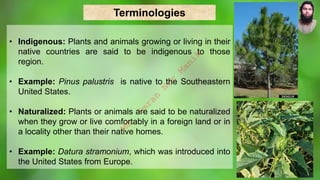 Terminologies
• Indigenous: Plants and animals growing or living in their
native countries are said to be indigenous to those
region.
• Example: Pinus palustris is native to the Southeastern
United States.
• Naturalized: Plants or animals are said to be naturalized
when they grow or live comfortably in a foreign land or in
a locality other than their native homes.
• Example: Datura stramonium, which was introduced into
the United States from Europe.
M
d
.
I
m
r
a
n
N
u
r
M
a
n
i
k
 