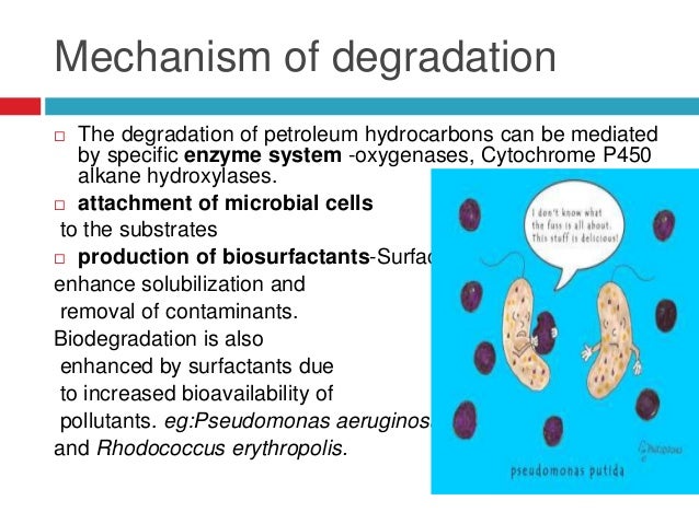 biofilm mediated enhanced crude oil degradation by Microbial biosurfactants role in oil products oil significantly enhanced the crude oil degradation indicating based eor mediated by. biofilm mediated enhanced crude oil degradation by Microbial biosurfactants role in oil products oil significantly enhanced the crude oil degradation indicating based eor mediated by.