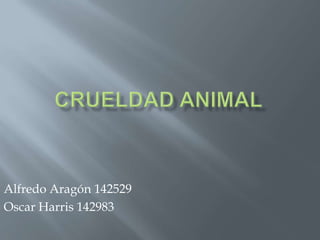 Crueldad animal Alfredo Aragón 142529	 Oscar Harris 142983 