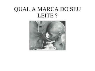 QUAL A MARCA DO SEU LEITE ? 
