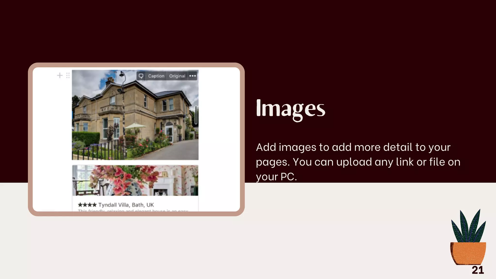 Images
Add images to add more detail to your
pages. You can upload any link or file on
your PC.
20
21
 