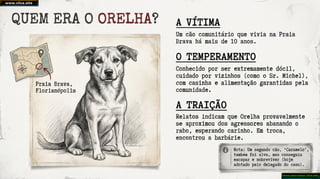 O Caso Orelha  Crueldade - Reflexões sobre o Caso do Cão Orelha